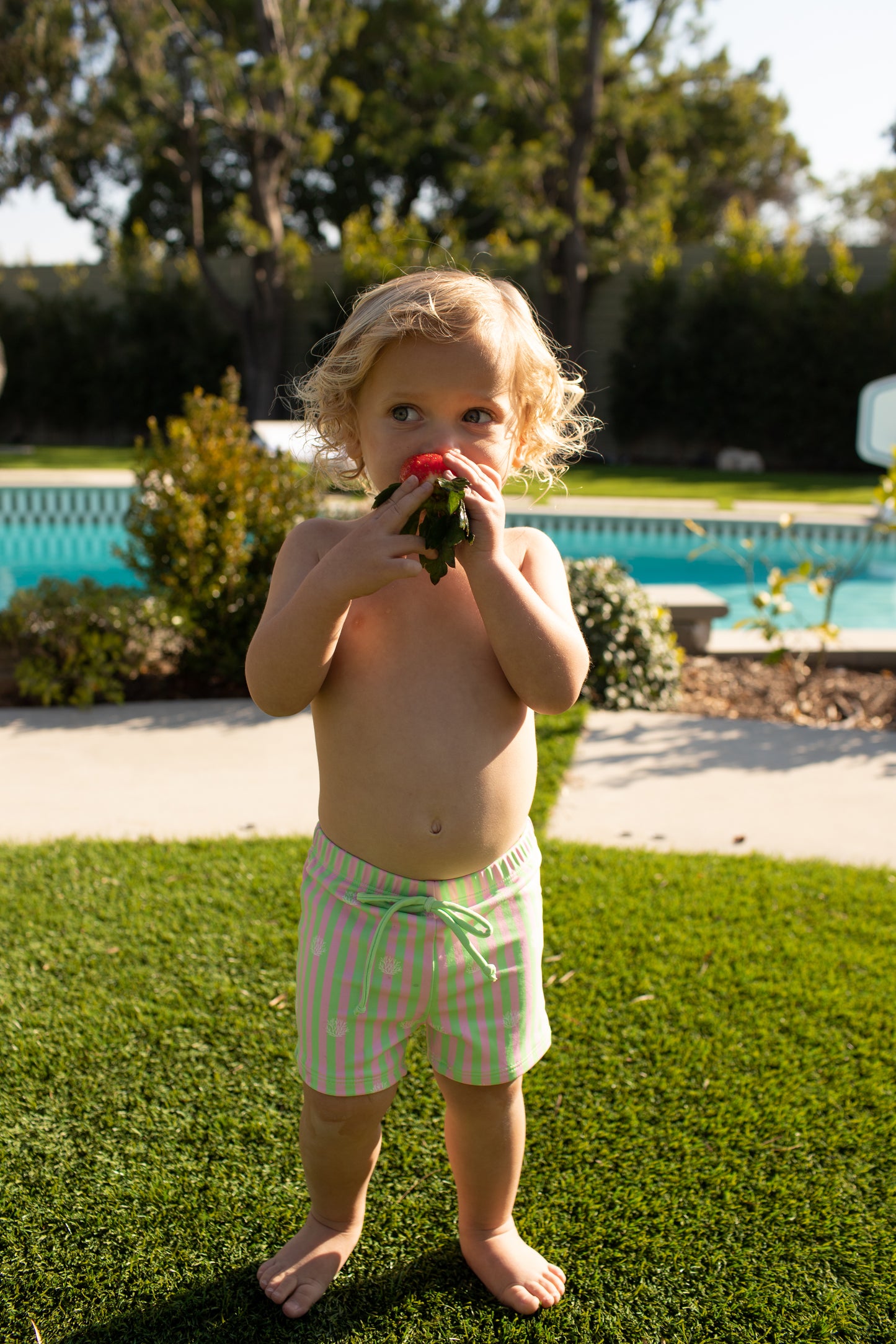 Little Boys Cabana Swimshorts